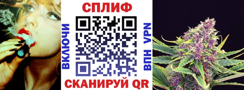 Бошки Шишки MAZAR  Купить где  Щёлкино 